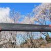 mitsubishi-fuso fighter 2007 CFJ1605440 image 20