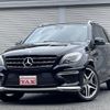 mercedes-benz m-class 2013 quick_quick_CBA-166074_WDC1660742A141862 image 1