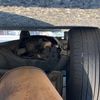 mazda bongo-friendee 1997 CFJ8243964 image 27
