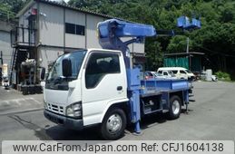 isuzu elf-truck 2006 CFJ1604138
