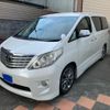 toyota alphard 2011 -TOYOTA--Alphard DBA-ANH25W--ANH25-8028720---TOYOTA--Alphard DBA-ANH25W--ANH25-8028720- image 1