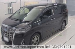 toyota alphard 2020 -TOYOTA 【名古屋 307ほ5365】--Alphard AYH30W-0096561---TOYOTA 【名古屋 307ほ5365】--Alphard AYH30W-0096561-