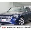 audi a3-sportback-e-tron 2022 -AUDI--Audi e-tron ZAA-GEEASB--WAUZZZGE8MB011824---AUDI--Audi e-tron ZAA-GEEASB--WAUZZZGE8MB011824- image 1