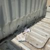 daihatsu hijet-truck 2007 CFJ1606691 image 7