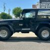 chrysler jeep-wrangler 1995 CFJ1539805 image 11