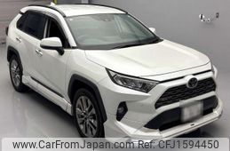 toyota rav4 2019 CFJ1594450