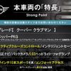 mini mini-others 2019 CFJ1760519 image 3