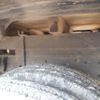 mitsubishi-fuso canter 2002 CFJ1677783 image 38