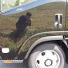 isuzu elf-truck 2024 GOO_JP_700100243030250509003 image 5
