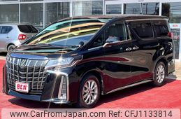 toyota alphard 2021 -TOYOTA--Alphard 3BA-AGH30W--AGH30-9021160---TOYOTA--Alphard 3BA-AGH30W--AGH30-9021160-