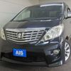 toyota alphard 2010 -TOYOTA--Alphard DBA-ANH20W--ANH20-8162560---TOYOTA--Alphard DBA-ANH20W--ANH20-8162560- image 1