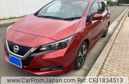 nissan leaf 2017 CFJ1834513