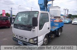 isuzu elf-truck 2006 GOO_NET_EXCHANGE_0404296A30250609W004
