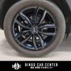 mini mini-others 2016 CFJ1582688 image 48