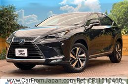 lexus nx 2018 CFJ1510460
