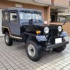 mitsubishi jeep 1996 CFJ0831269 image 1
