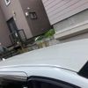 toyota alphard 2018 -TOYOTA--Alphard DBA-AGH35W--AGH35-0027109---TOYOTA--Alphard DBA-AGH35W--AGH35-0027109- image 6