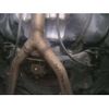 nissan teana 2015 CFJ1815760 image 14