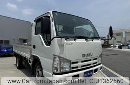 isuzu elf-truck 2007 GOO_NET_EXCHANGE_0707028A30250701W001