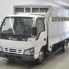 isuzu elf-truck undefined -ISUZU--Elf NKR81AR-7056991---ISUZU--Elf NKR81AR-7056991- image 5