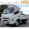 toyota dyna-truck 2017 GOO_NET_EXCHANGE_0708619A30240801W001 image 1