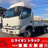 hino dutro 2019 GOO_NET_EXCHANGE_0730189A30241217W001 image 1