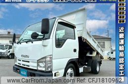 isuzu elf-truck 2010 CFJ1810962