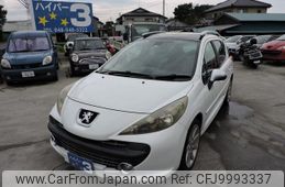 peugeot 207 2009 GOO_JP_700054078630240711001