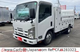 isuzu elf-truck 2010 GOO_NET_EXCHANGE_2507066A30250613W001
