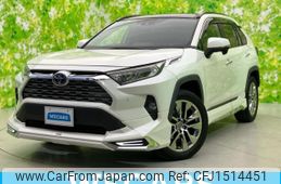 toyota rav4 2019 CFJ1514451
