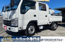 isuzu elf-truck 2009 GOO_NET_EXCHANGE_1300374A30240918W001