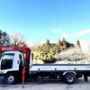 isuzu forward 2004 CFJ1605383 image 3