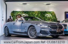 bmw 8-series 2019 quick_quick_3DA-BC30_WBAFY22040BJ07551