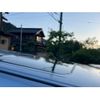 nissan elgrand 2005 -NISSAN--Elgrand CBA-MNE51--MNE51-003272---NISSAN--Elgrand CBA-MNE51--MNE51-003272- image 10