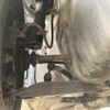 toyota sprinter-trueno 1995 quick_quick_AE111_AE111-5012823 image 69