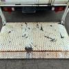isuzu elf-truck 2010 CFJ1564911 image 15