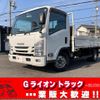 isuzu elf-truck 2019 GOO_NET_EXCHANGE_0730189A30250123W001 image 1