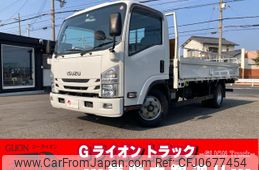 isuzu elf-truck 2019 GOO_NET_EXCHANGE_0730189A30250123W001