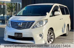 toyota alphard 2011 -TOYOTA--Alphard ANH20W--ANH20-8170956---TOYOTA--Alphard ANH20W--ANH20-8170956-