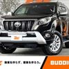 toyota land-cruiser-prado 2016 -TOYOTA--Land Cruiser Prado LDA-GDJ151W--GDJ151-0003491---TOYOTA--Land Cruiser Prado LDA-GDJ151W--GDJ151-0003491- image 1