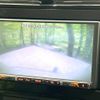 toyota prius 2018 CFJ1623540 image 6