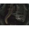 lexus rx 2012 -LEXUS--Lexus RX DAA-GYL15W--GYL15-2442899---LEXUS--Lexus RX DAA-GYL15W--GYL15-2442899- image 5