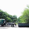 isuzu forward 2013 CFJ0609198 image 2