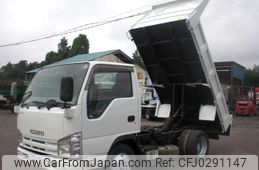 isuzu elf-truck 2010 GOO_NET_EXCHANGE_0403152A30241007W001