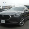 mazda cx-3 2022 -MAZDA--CX-30 3DA-DM8P--DM8P-204137---MAZDA--CX-30 3DA-DM8P--DM8P-204137- image 1