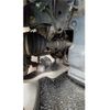 nissan elgrand 2011 -NISSAN--Elgrand TE52--002539---NISSAN--Elgrand TE52--002539- image 12