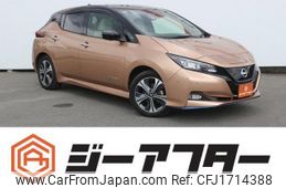 nissan leaf 2021 CFJ1714388