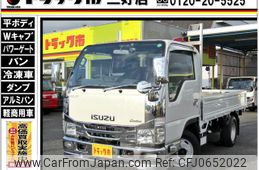 isuzu elf-truck 2019 GOO_NET_EXCHANGE_0208643A30250116W002