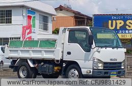 isuzu elf-truck 2010 GOO_NET_EXCHANGE_0800881A30240610W001