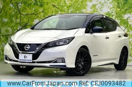 nissan leaf 2019 quick_quick_ZAA-ZE1_ZE1-064110